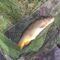 Catch photo
